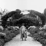 مونه چگونه باغ خود را به مشهورترین منظره تاریخ هنر تبدیل کرد؟