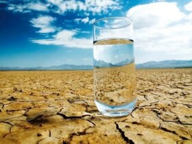 وزارت نیرو طوری رفتار می کند که انگار خطری وجود ندارد!