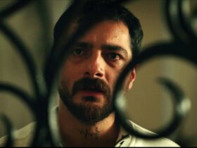 پایان های سریال چاکال: سجاد بابایی عصبانی شد، مسیر ماجرا عوض شد! 9 پایان های سریال چاکال: سجاد بابایی عصبانی شد، مسیر ماجرا عوض شد!