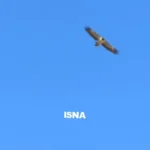 پرواز شماره 2 هما سعادت در پارک ملی سعیدوا