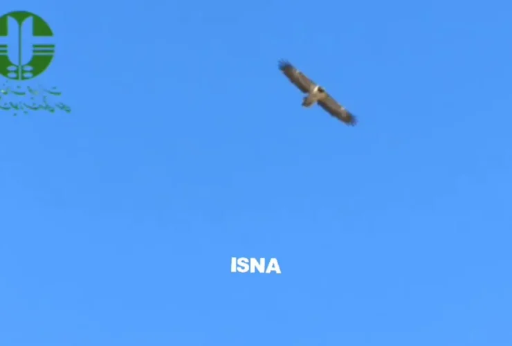 پرواز شماره 2 هما سعادت در پارک ملی سعیدوا