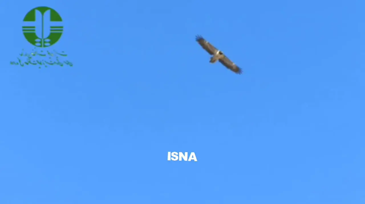 پرواز شماره 2 هما سعادت در پارک ملی سعیدوا