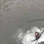 پلیس نیویورک مردی را که در رودخانه یخ زده گیر کرده بود نجات داد