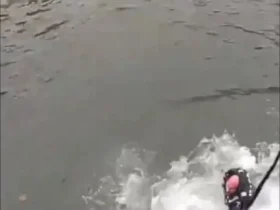 پلیس نیویورک مردی را که در رودخانه یخ زده گیر کرده بود نجات داد