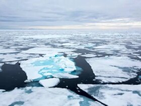 چرا انسان ها نمی توانند در قطب شمال زندگی کنند؟