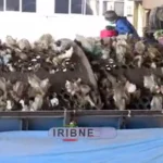 چه چیزی پشت بوی نامطبوع جنوب تهران نهفته است؟