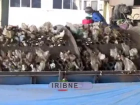 چه چیزی پشت بوی نامطبوع جنوب تهران نهفته است؟