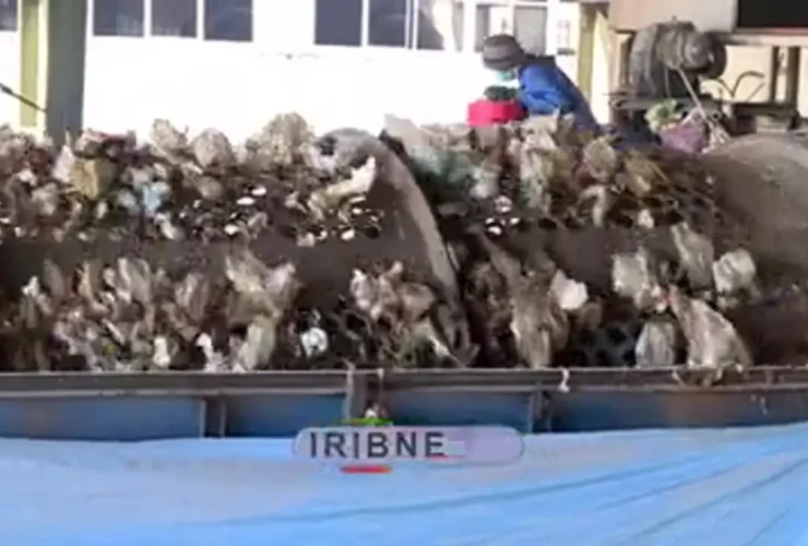 چه چیزی پشت بوی نامطبوع جنوب تهران نهفته است؟