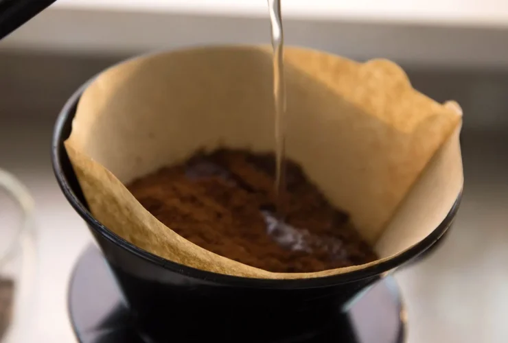 چگونه با فیلتر قهوه سلامت ریشه گیاهان خود را تضمین کنیم؟