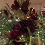 کاخ سفید آماده استقبال از کریسمس است