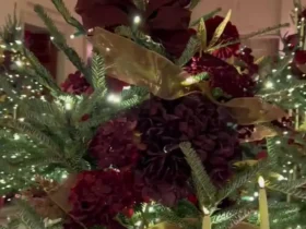 کاخ سفید آماده استقبال از کریسمس است 8 کاخ سفید آماده استقبال از کریسمس است