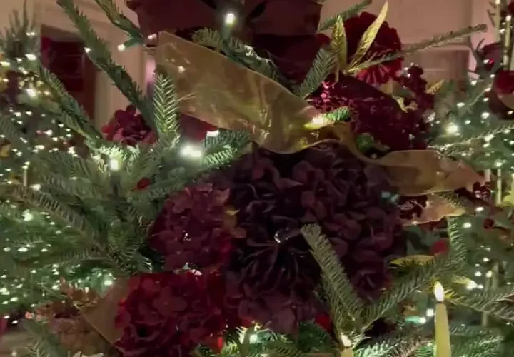 کاخ سفید آماده استقبال از کریسمس است 25 کاخ سفید آماده استقبال از کریسمس است