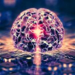 کامپیوترهای ساخته شده از مغز انسان در راهند/ هوش ارگانوئیدی چیست؟