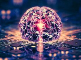 کامپیوترهای ساخته شده از مغز انسان در راهند/ هوش ارگانوئیدی چیست؟ 14 کامپیوترهای ساخته شده از مغز انسان در راهند/ هوش ارگانوئیدی چیست؟