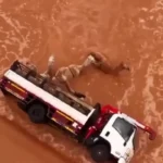 کامیون حامل شتر بر اثر جاری شدن سیل واژگون شد