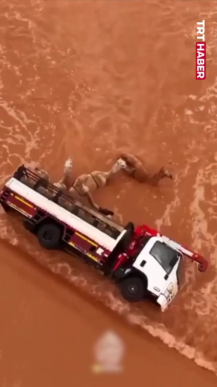 کامیون حامل شتر بر اثر جاری شدن سیل واژگون شد 1 کامیون حامل شتر بر اثر جاری شدن سیل واژگون شد