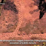 کشف 16000 رد پای دایناسور؛ بزرگترین مجموعه ثبت شده جهان