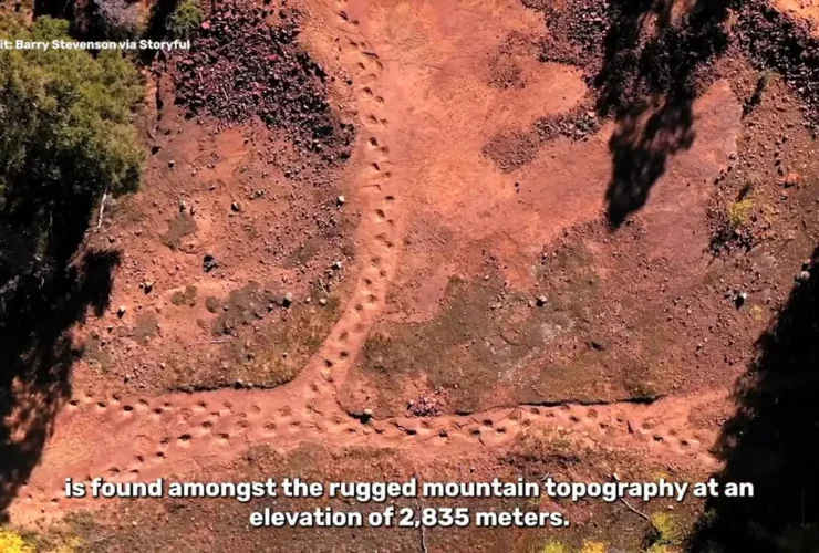 کشف 16000 رد پای دایناسور؛ بزرگترین مجموعه ثبت شده جهان