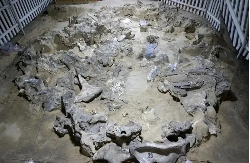 عصر یخبندان