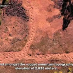 کشف سریع ترین دایناسور تاریخ