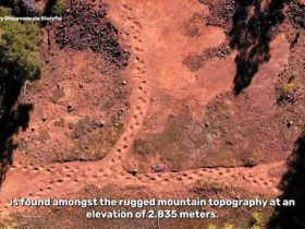 کشف سریع ترین دایناسور تاریخ