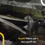 کشف صدها پاکت سیگار که در سپر ماشین دفن شده بودند