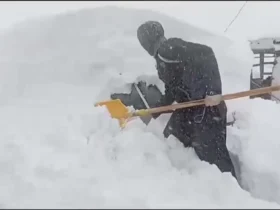 گیر افتادن خودروها زیر برف در بانه