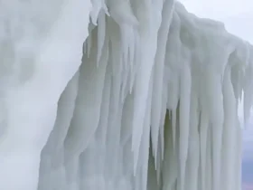 یخ زدگی بی سابقه در میشیگان؛ فانوس دریایی به یک هیولای یخی تبدیل شد 10 یخ زدگی بی سابقه در میشیگان؛ فانوس دریایی به یک هیولای یخی تبدیل شد