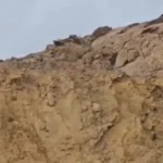 یوزپلنگ آسیایی «هیوا» در پارک ملی توران مشاهده شد