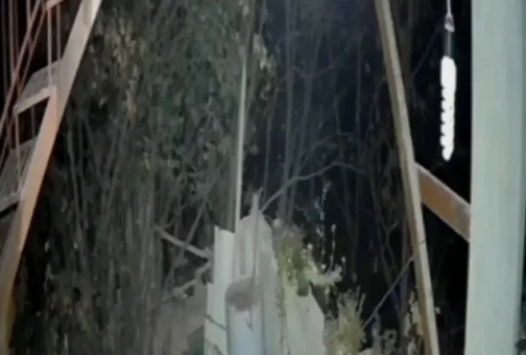 یک خرس وارد خانه ای در خطیرکوه استان سمنان شد 7 یک خرس وارد خانه ای در خطیرکوه استان سمنان شد