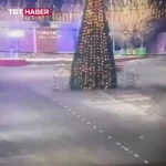 یک راننده با ماشین خود به درخت کریسمس برخورد کرد