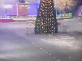 یک راننده با ماشین خود به درخت کریسمس برخورد کرد 9 یک راننده با ماشین خود به درخت کریسمس برخورد کرد