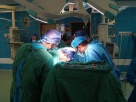 تاکنون 68 پیوند در بیمارستان الزهرا (س) انجام شده است که نتایج مثبت داشته است 8 تاکنون 68 پیوند در بیمارستان الزهرا (س) انجام شده است که نتایج مثبت داشته است