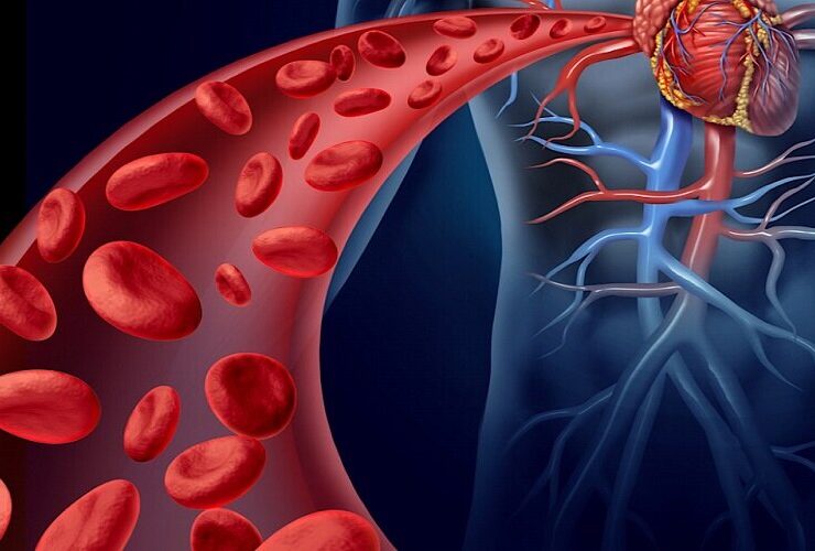چه غذاهایی برای بهبود سلامت رگ های خونی مفید است؟ 20 چه غذاهایی برای بهبود سلامت رگ های خونی مفید است؟