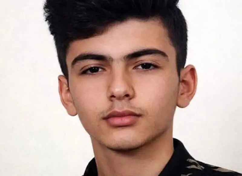 فارس از نهادهای امنیتی خواستار اسناد بسیجی یا معترض بودن امیرحسام خدایاری فرد شد. 1 امیر حسام خدایاری فرد