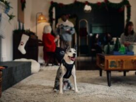 کارگردان جدید هالیوود سگ است؟ وقتی یک تبلیغ توسط میا کارگردانی می شود