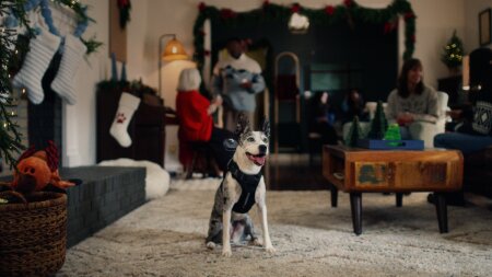 کارگردان جدید هالیوود سگ است؟ وقتی یک تبلیغ توسط میا کارگردانی می شود