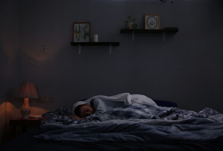 اکران فیلم «گنجشک» در گرجستان آغاز می شود