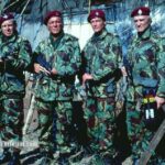 دزدی رئیس جمهور برنامه سینماهای تهران شده است! + عکس