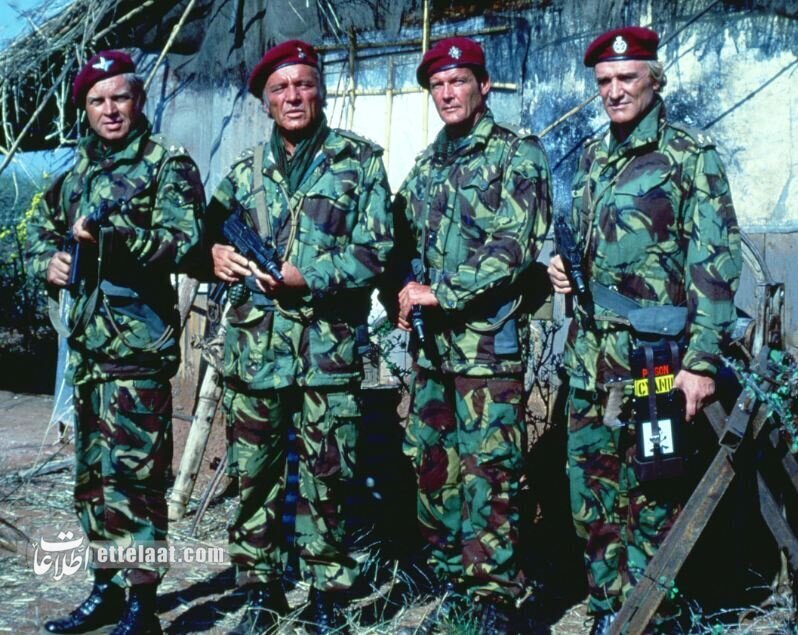 دزدی رئیس جمهور برنامه سینماهای تهران شده است! + عکس