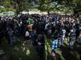 عکس های جدید از مراسم ختم بهرام بیضایی 11 عکس های جدید از مراسم ختم بهرام بیضایی