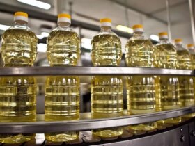 اعلام قیمت جدید نفت پس از لغو ارز ترجیحی / فهرست کامل (15 ژانویه 1404)