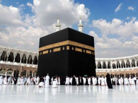 سازمان حج و زیارت اعلام کرد 9 سازمان حج و زیارت اعلام کرد