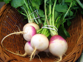 بررسی خواص شلغم از نظر طب سنتی ایران