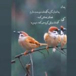 IMG_20260106_231641_563_11zon