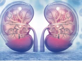 عملکرد کلیه ها در بدن چیست؟ | خون رسانی زیاد به کلیه ها 11 عملکرد کلیه ها در بدن چیست؟ | خون رسانی زیاد به کلیه ها