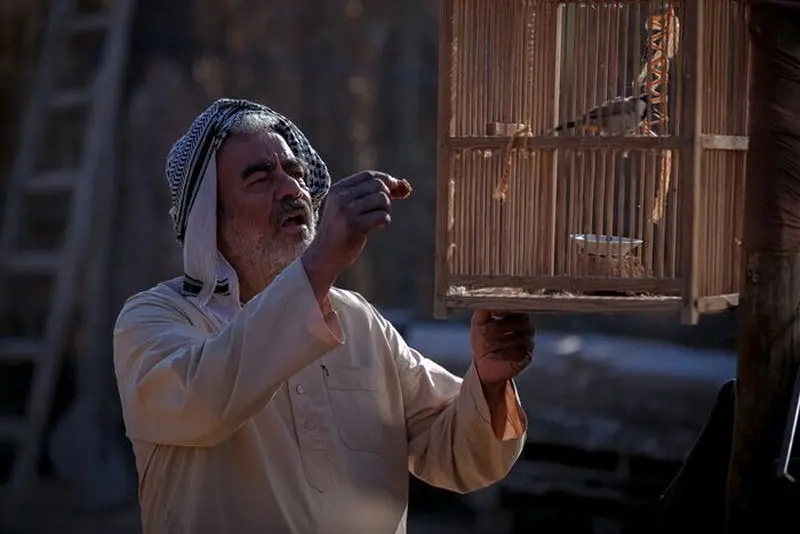 سعید آقاخانی