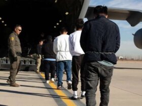 انتقال 40 مهاجر ایرانی از آمریکا به ایران