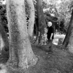 بهرام بیضایی