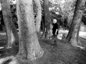 در سالروز تاسیس تئاتر شهر، درخت افرا به یاد بهرام بیضایی کاشته شد. 9 بهرام بیضایی